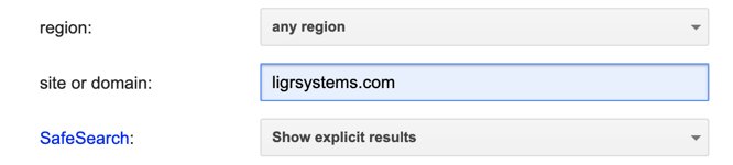 google-domain-search-1