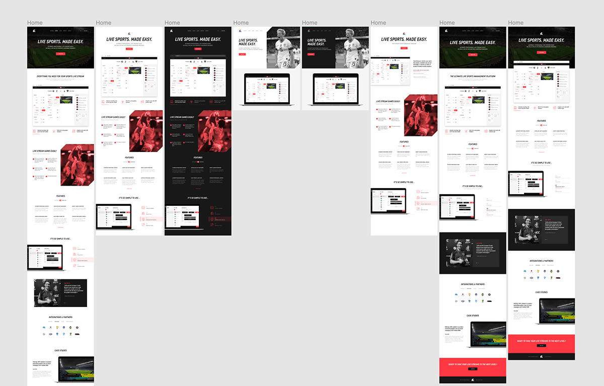 Early drafts of the website. One of our problems was totally not the fact that our CEO wanted to tweak the content every other day.